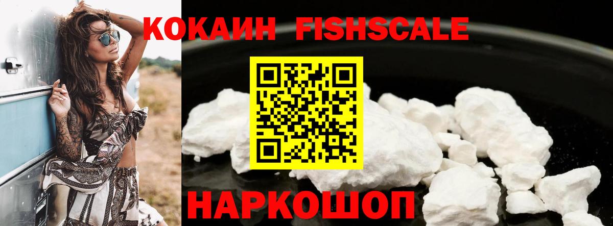 Cocaine Fish Scale  Cocaine Fish Scale  Вход с VPN  КОКАИН  Семёнов 