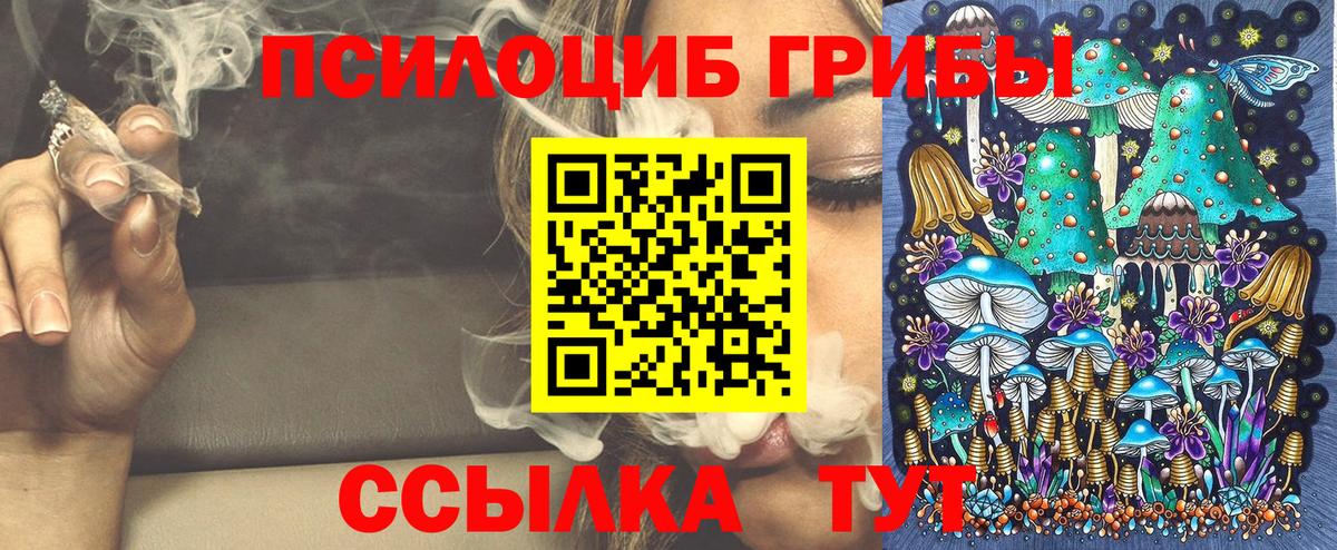 Галлюциногенные грибы Cubensis Семёнов