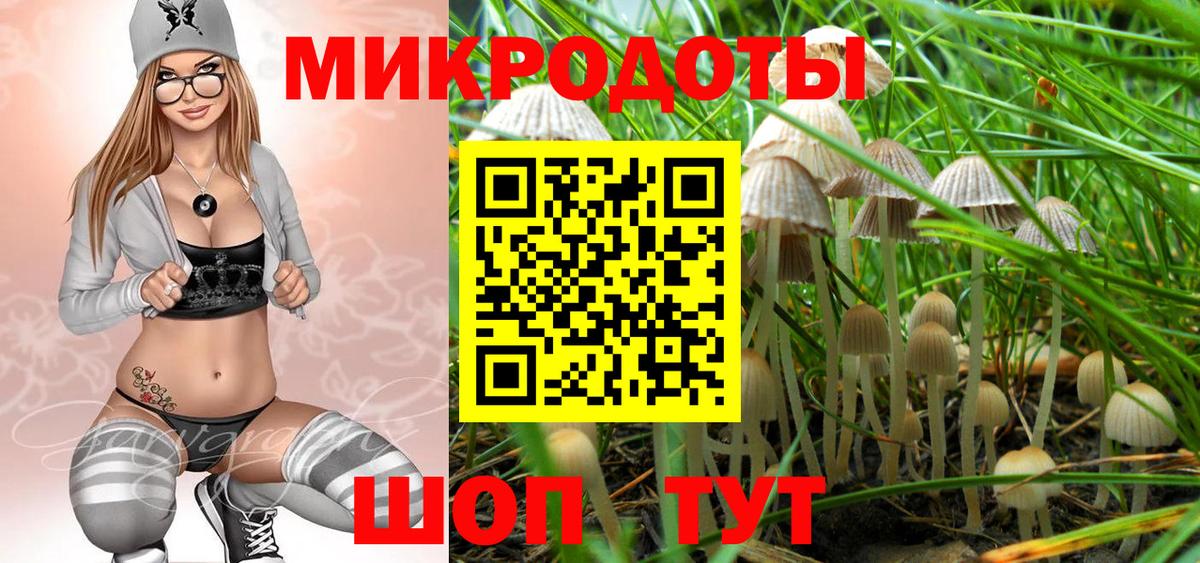 Семёнов  Галлюциногенные грибы прущие грибы  Вход с VPN 